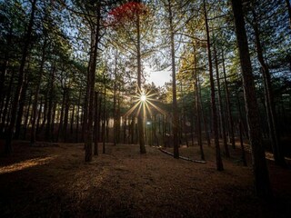 Casa per le vacanze Petten Ambiente 25