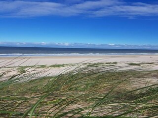 Holiday house Petten Environment 15