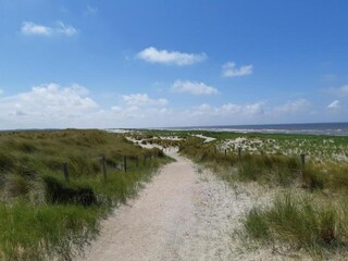 Ferienhaus Petten Umgebung 32