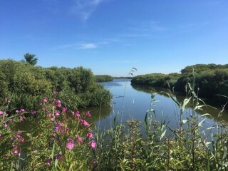 Vakantiehuis Petten Omgeving 38