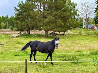 Holiday house Högsby  10