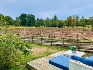 Ferienhaus Högsby Außenaufnahme 7