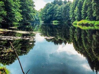 Maison de vacances Högsby  13