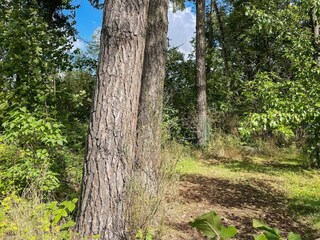 Vakantiehuis Glemmingebro Buitenaudio-opname 4