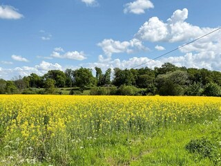 Ferienhaus Glemmingebro  16
