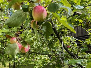 4 Personen vakantie huis in SMEDSTORP