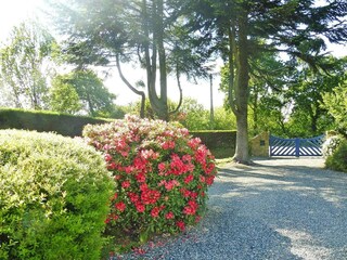 Maison de vacances Yvias Enregistrement extérieur 5