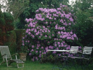 Ferienhaus Sint Maartenszee Außenaufnahme 6