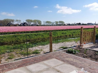 Ferienhaus Sint Maartenszee Umgebung 26