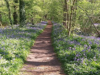 Holiday house Sint Maartenszee Environment 25