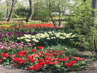 Ferienhaus Sint Maartensvlotbrug Außenaufnahme 6