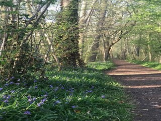 Ferienhaus Sint Maartensvlotbrug Umgebung 22