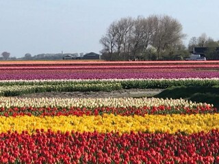 Ferienhaus Sint Maartensvlotbrug Umgebung 20