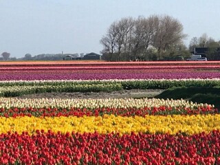 Holiday house Sint Maartensvlotbrug Outdoor Recording 7