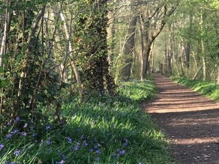 Casa de vacaciones Sint Maartensvlotbrug Entorno 19