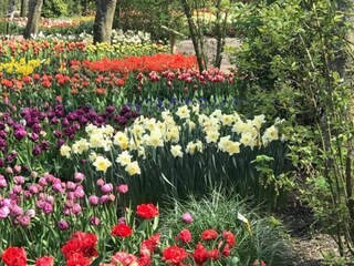 Casa de vacaciones Sint Maartensvlotbrug  24