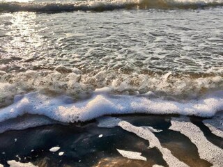 Ferienhaus Sint Maartensvlotbrug  21