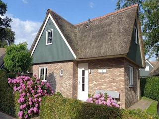 Ferienhaus Sint Maartenszee Außenaufnahme 5