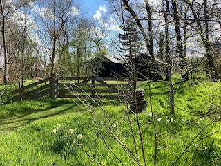 Ferienhaus Sint Maartenszee Umgebung 20