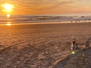 Casa per le vacanze Sint Maartenszee Ambiente 26