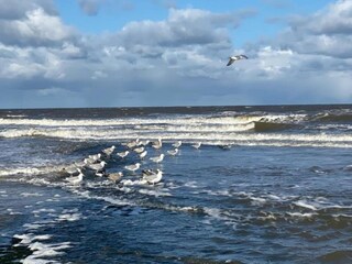 Casa de vacaciones Sint Maartenszee Entorno 16