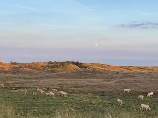 Casa per le vacanze Sint Maartenszee Ambiente 26