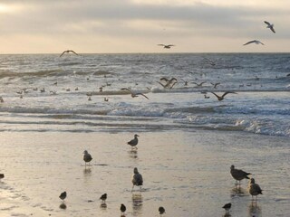 Vakantiehuis Sint Maartenszee Omgeving 15