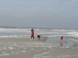 Casa de vacaciones Sint Maartenszee Entorno 20