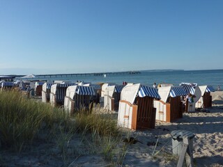 Holiday apartment Binz Environment 20