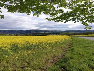 Appartement Lichtenhain Environnement 21