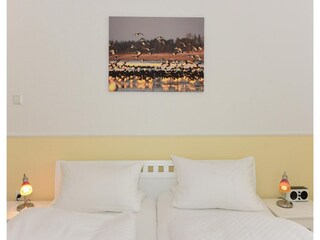 Casa per le vacanze Wyk auf Föhr Caratteristiche 7