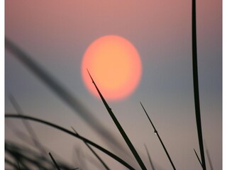 Casa de vacaciones Wyk auf Föhr Entorno 30