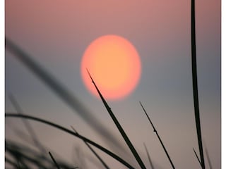 Vakantiehuis Wyk auf Föhr Omgeving 30