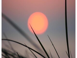 Vakantiehuis Wyk auf Föhr Omgeving 30