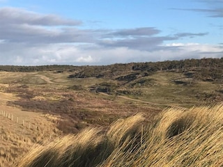 Apartment Sint Maartenszee Umgebung 17