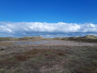 Apartamento Sint Maartenszee Entorno 34