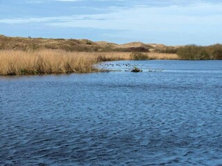 Appartamento Sint Maartenszee Ambiente 33