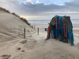 Casa de vacaciones Sint Maartenszee Entorno 21