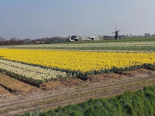 Ferienhaus Sint Maartenszee Umgebung 17