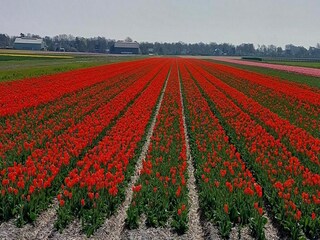 Vakantiehuis Sint Maartenszee Omgeving 19