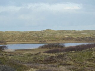 Ferienhaus Sint Maartenszee Umgebung 19