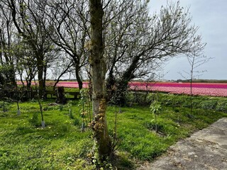 Vakantiehuis Sint Maartenszee Buitenaudio-opname 8