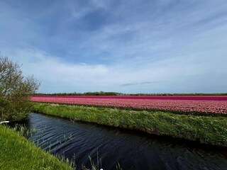 Vakantiehuis Sint Maartenszee Buitenaudio-opname 13