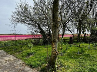 Vakantiehuis Sint Maartenszee Buitenaudio-opname 8