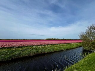 Maison de vacances Sint Maartenszee Environnement 35