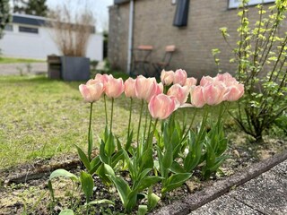 Vakantiehuis Sint Maartenszee Kenmerken 33