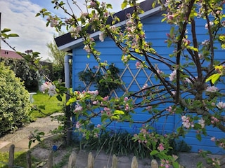 Ferienhaus Sint Maartenszee Außenaufnahme 12
