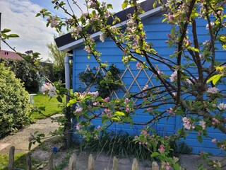 Holiday house Sint Maartenszee Outdoor Recording 7