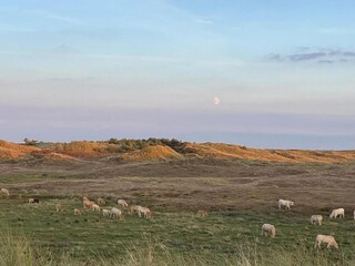 Appartamento Sint Maartenszee Ambiente 28