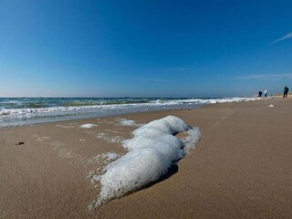 Appartement Sint Maartenszee Environnement 30